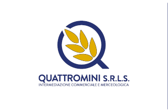 Quattromini Srls