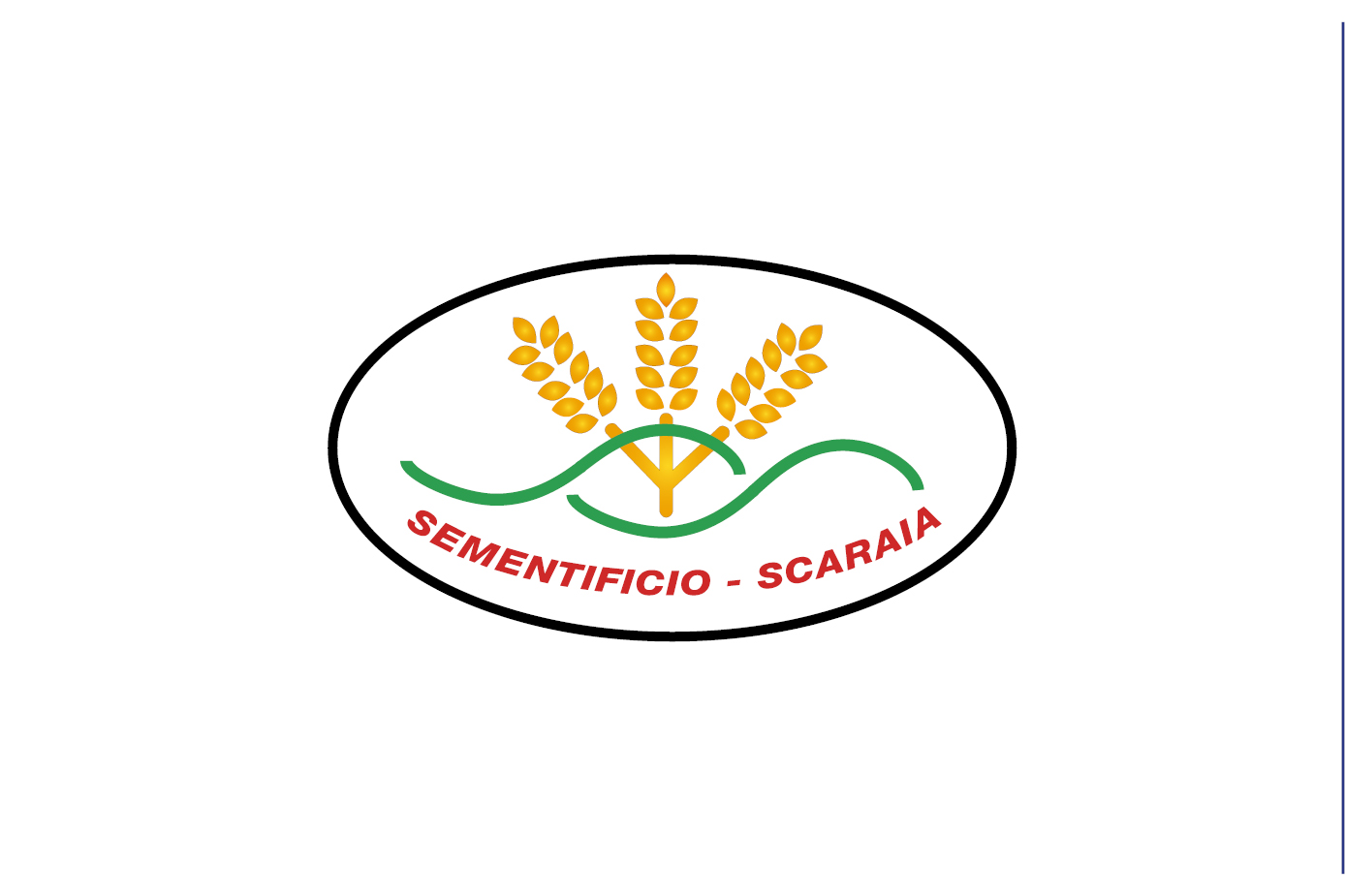 Scaraia